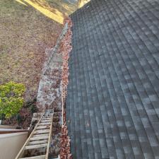 Gutter Cleaning White House 11